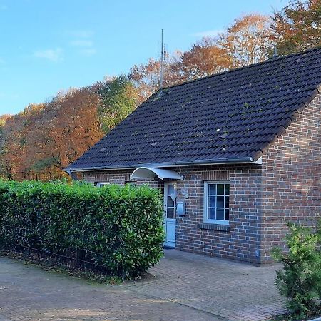 "Am Waldesrand" Re16 Villa Sögel Dış mekan fotoğraf